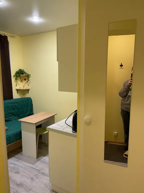 В гостях у гуся