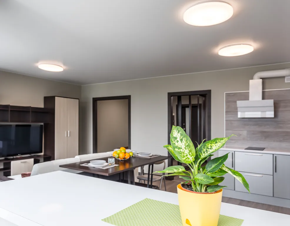 Топ вид из окна