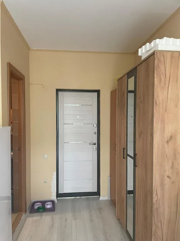 Уютная 3-х местная квартира-студия