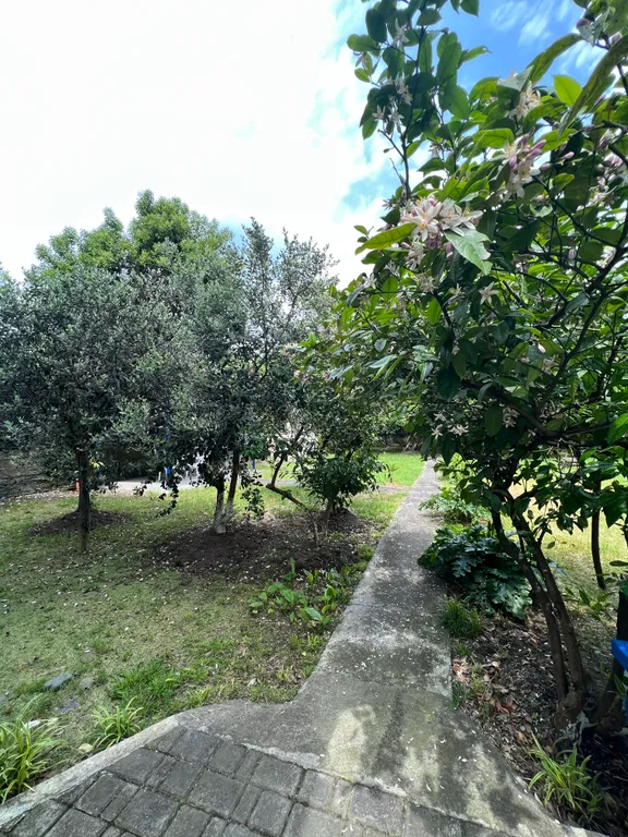 Квартира Комната — Сухум