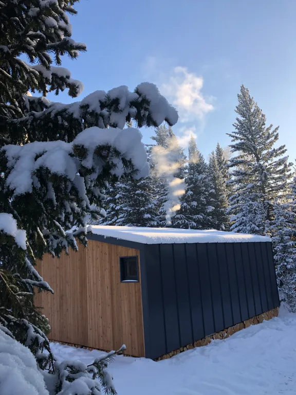 Уютный домик с видом на лес с баней и купелью