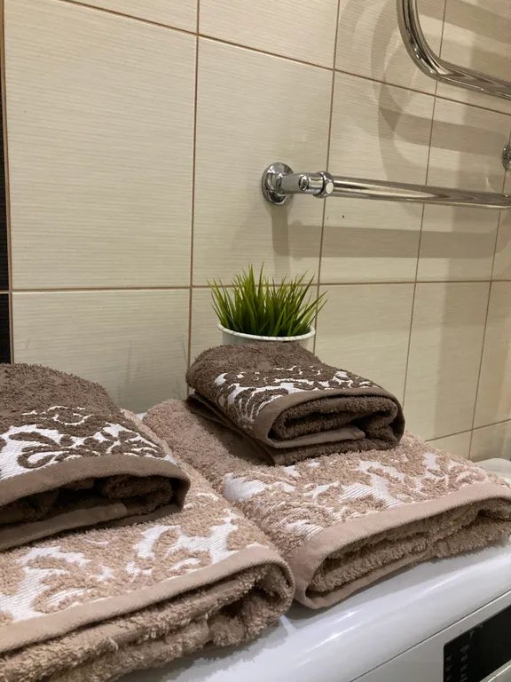 1-комнатная квартира с видом на парк За Саймой и реку Обь