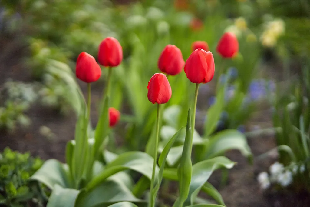 Smarthome в самом центре