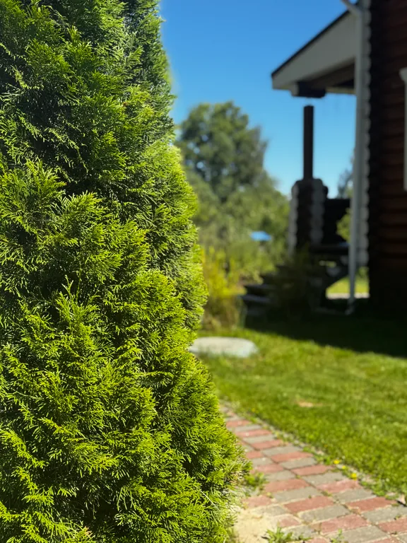 Просторный дом на Горьковской море