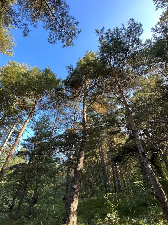 А-фрейм на берегу залива