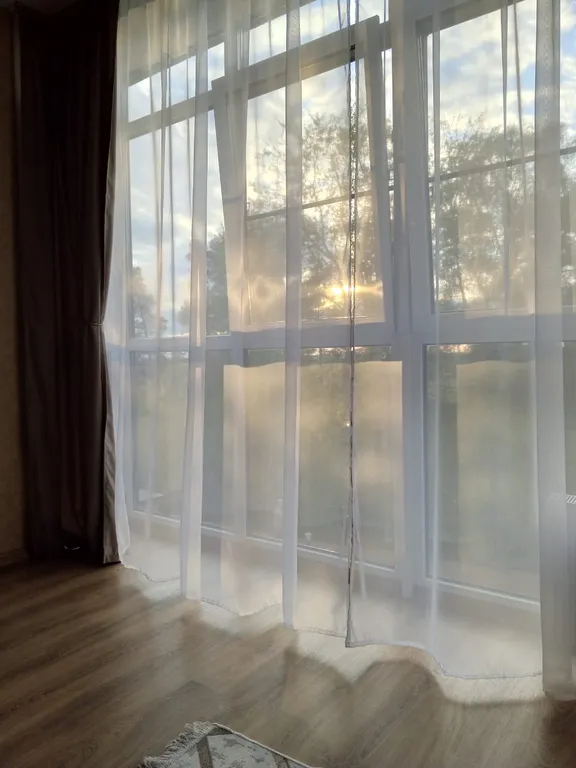 Апартаменты в сосновом лесу