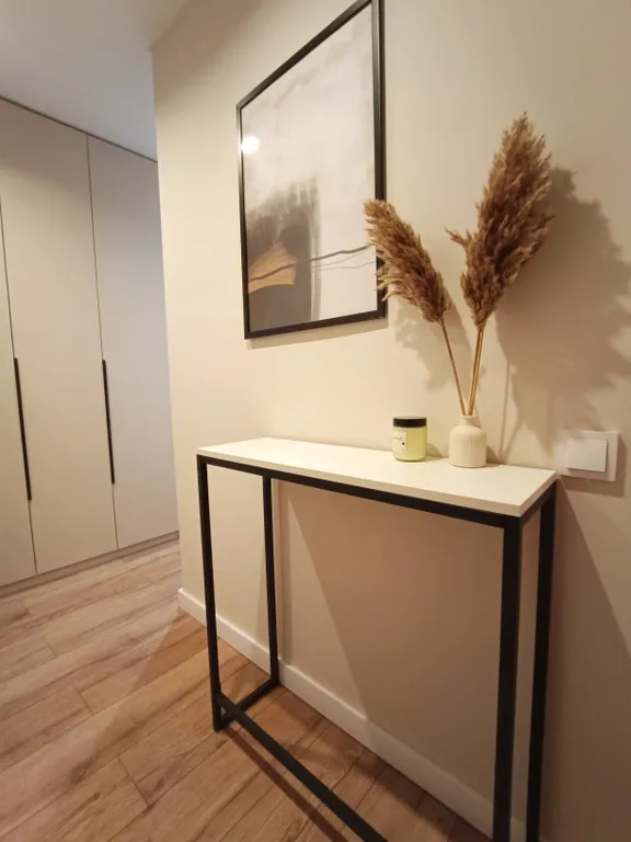 Однокомнатные Сканди апартаменты в центре города