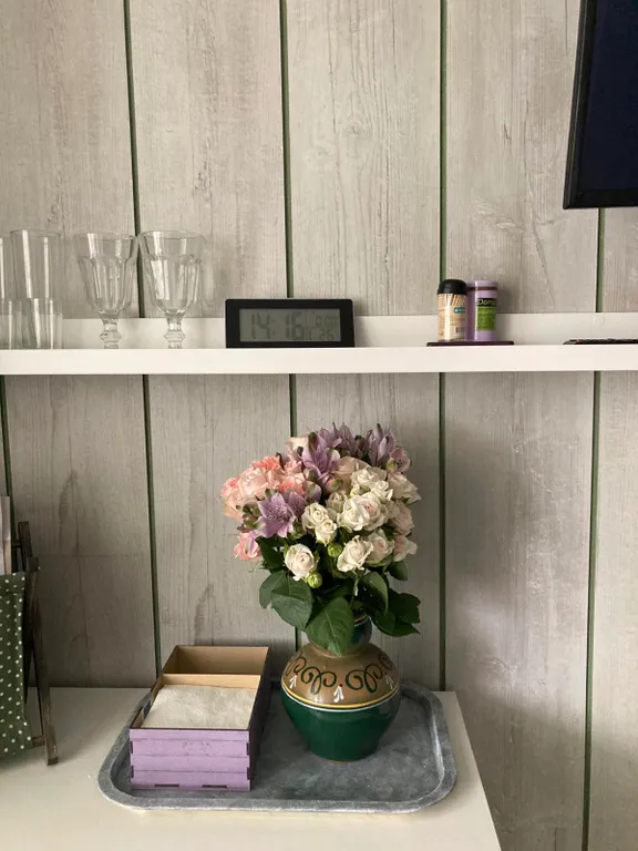 VIP квартира в центре с видом на Коллегиум