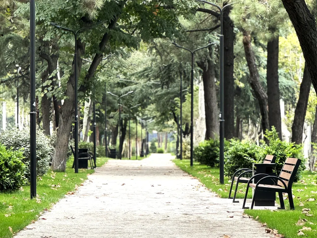 Уютно и стильно в центре города, близко к старому Тбилиси