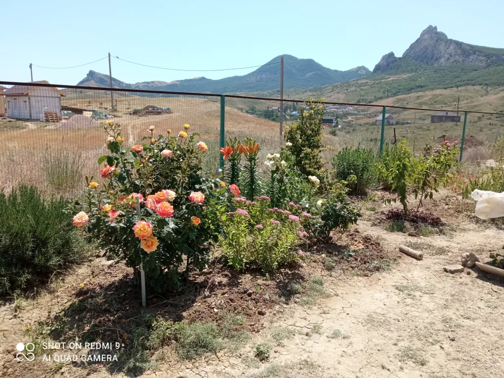 Комната в частном доме