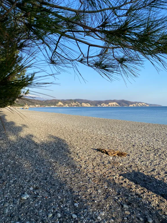 Коттедж на берегу моря