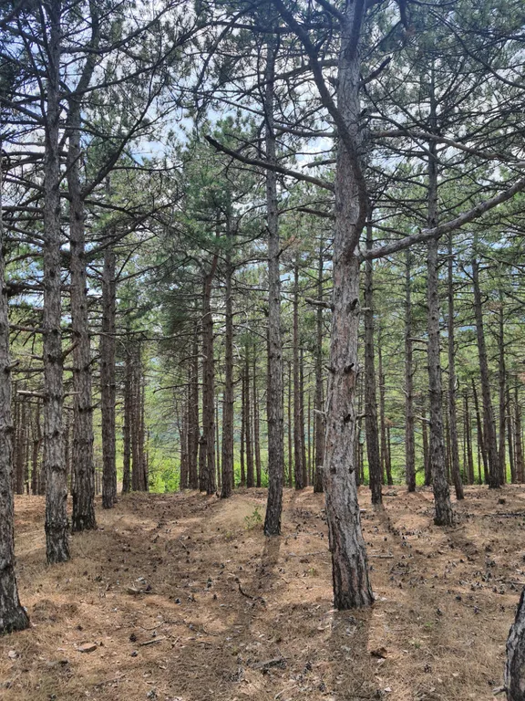 Коттедж с видом на море и горы