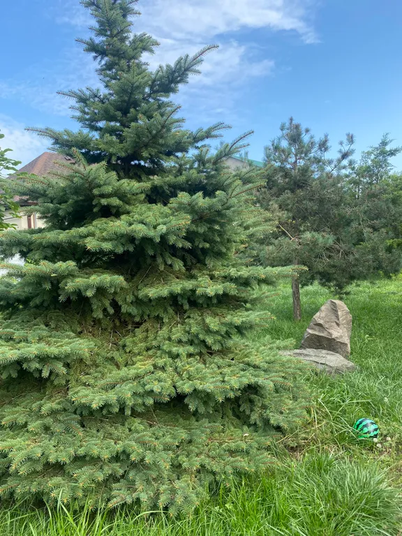 С бассейном рядом с морем