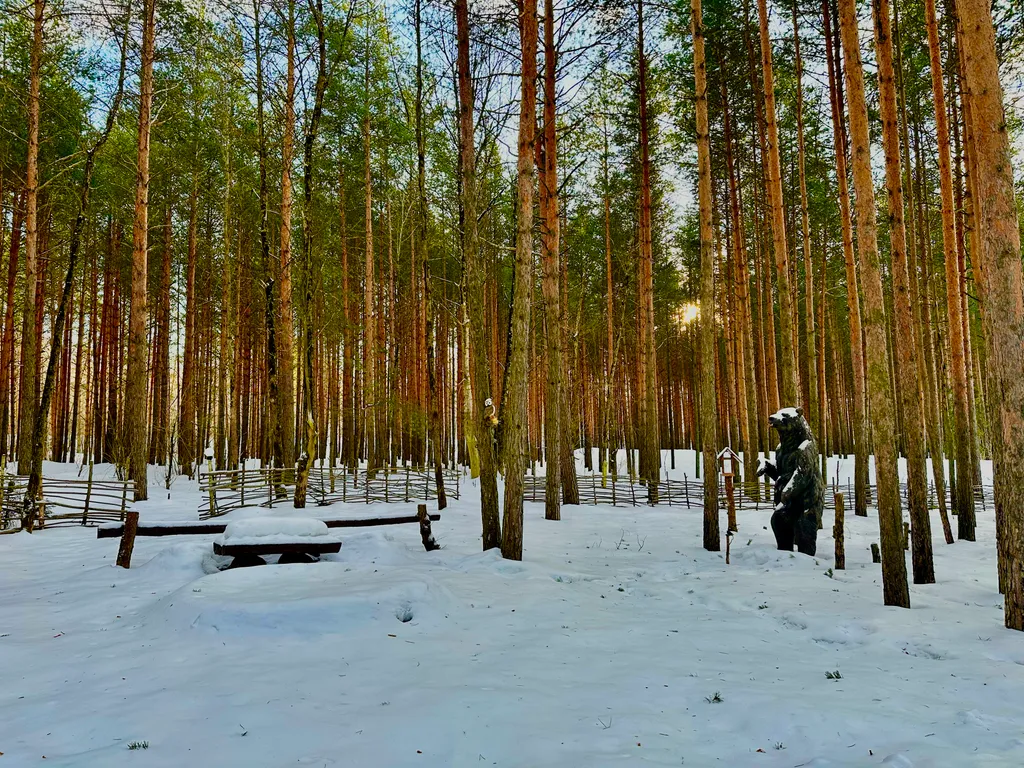 Шале в сосновом бору