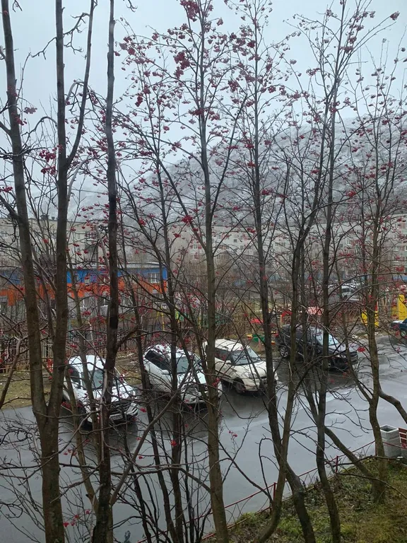 Уютная квартира у горнолыжного склона