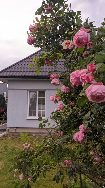 Уютный новый дом недалеко от центра