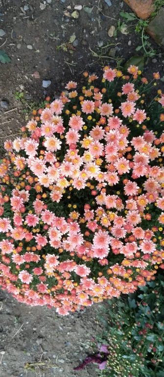 Уютный домик