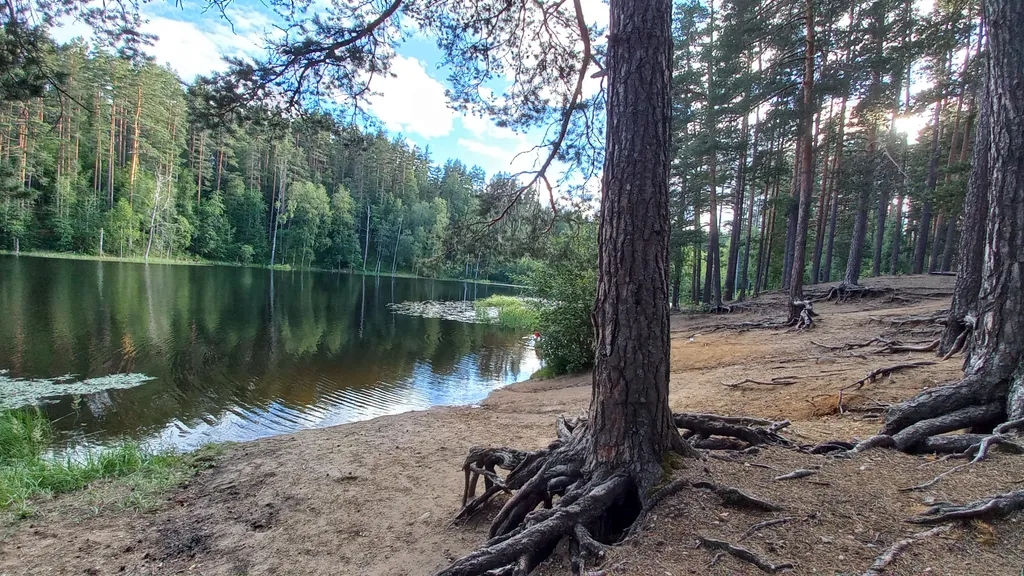 Квартира для зимнего и летнего отдыха