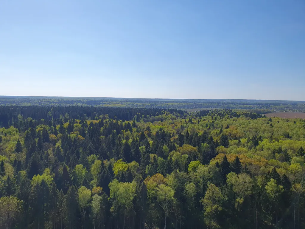 Квартира с панорамным видом