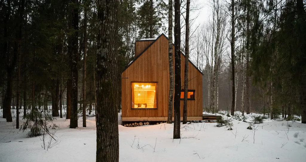 Домик в лесу на берегу Плещеева Озера