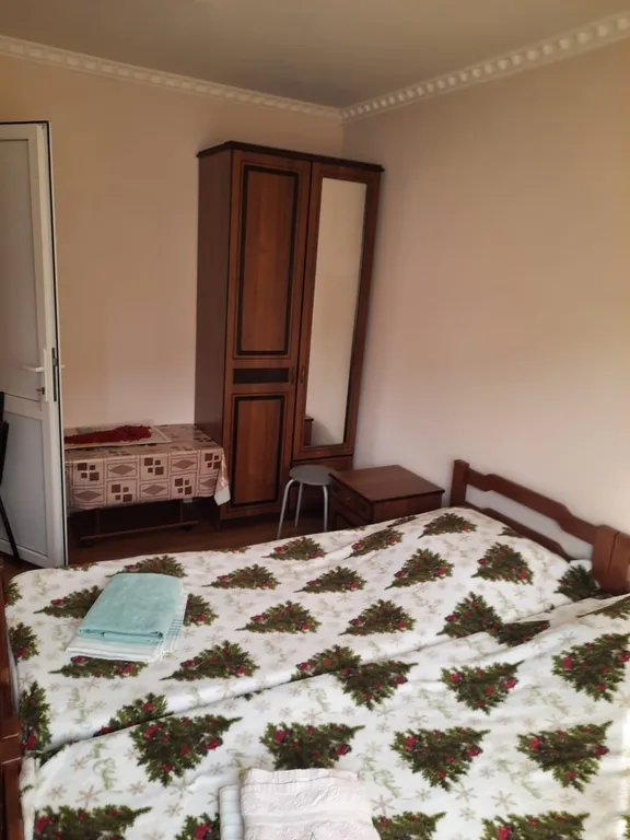 Квартира Квартира Двухместный номер  № 1 с раздельными кроватями — Сочи