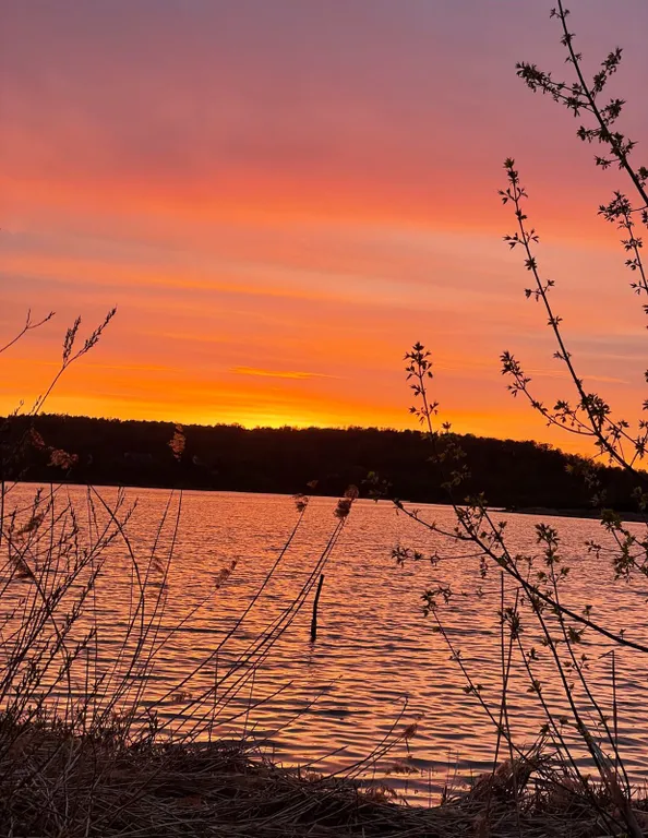 Дом на реке