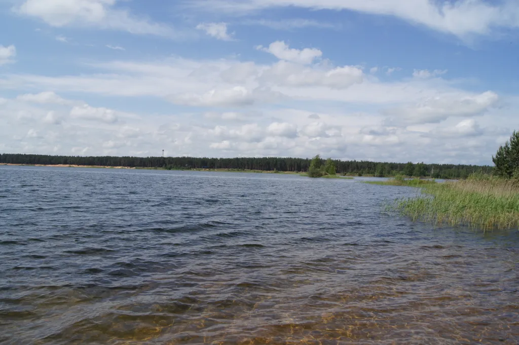 Дом в сосновом бору на озере