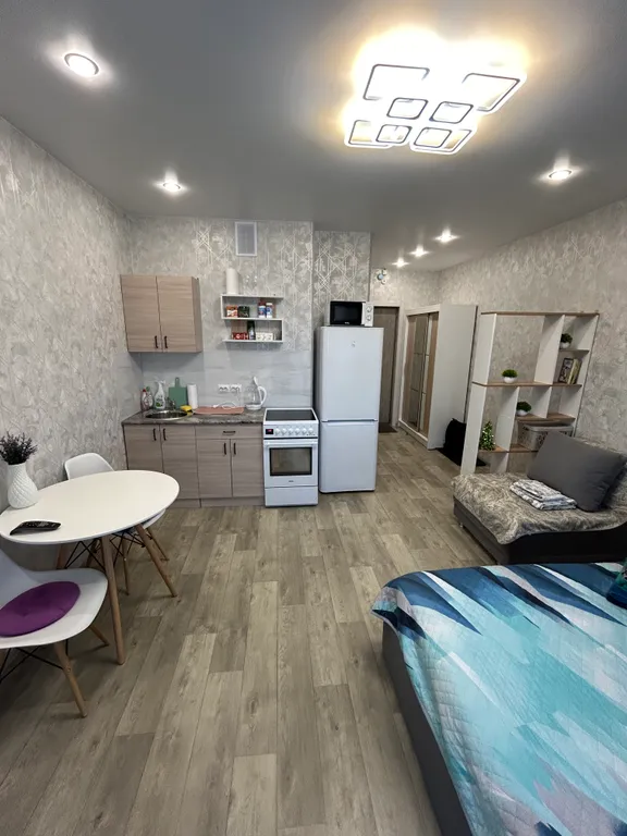 Уютные апартаменты возле аэропорта Толмачево Новосибирск