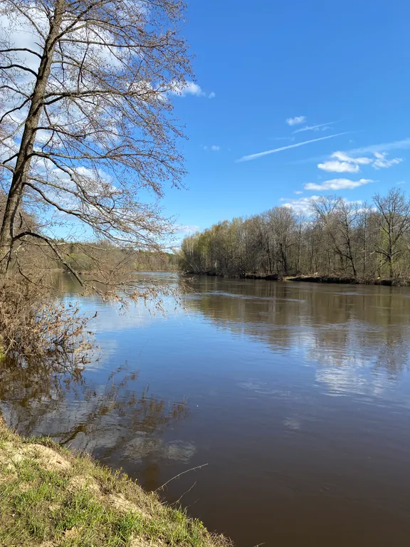 Прекрасная квартира в центре соснового бора