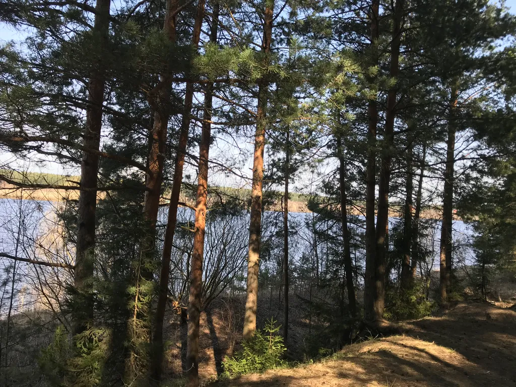 Коттедж Коттедж Загородный клуб Дункан на Волге — Дубна