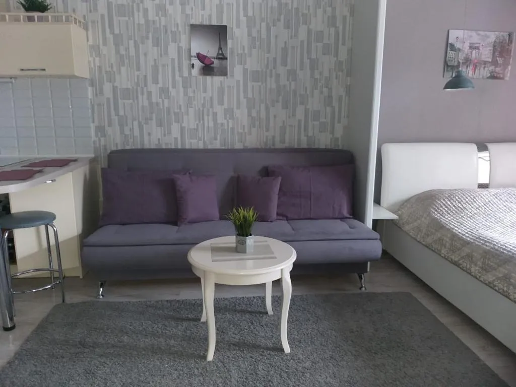 Квартира 1-комнатная Квартира — Светлогорск