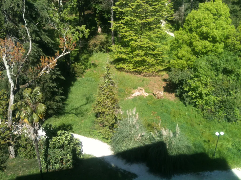 Квартира Квартира Студия в парке — Сириус