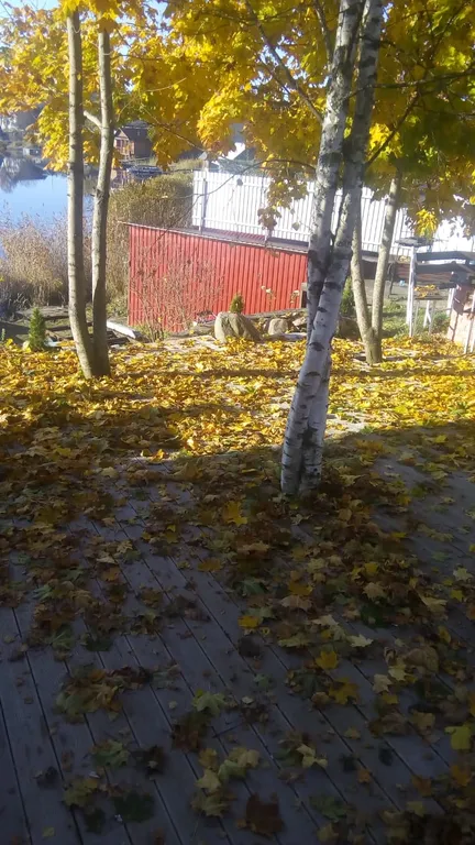 Коттедж Дом с баней прямо на берегу озера Селигер — Заборки