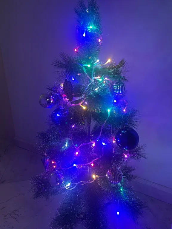 Квартира Уютная квартира с видом на поющие фонтаны и кенигсбергскую биржу — Калининград