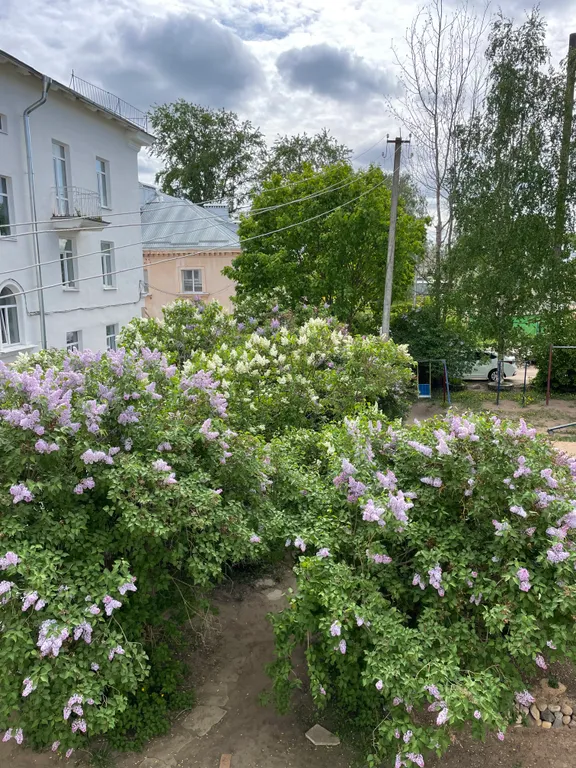 Квартира LuxApart на пешеходной улице