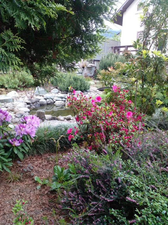 Шале с двумя апартаментами