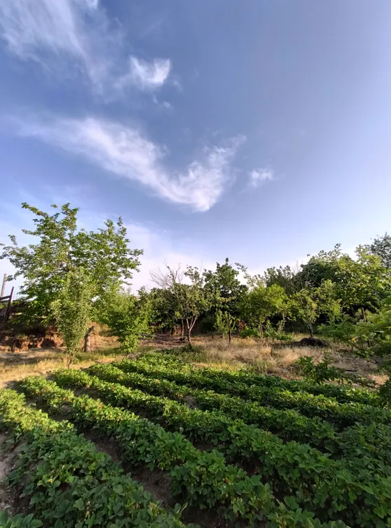 Уютный дом у моря