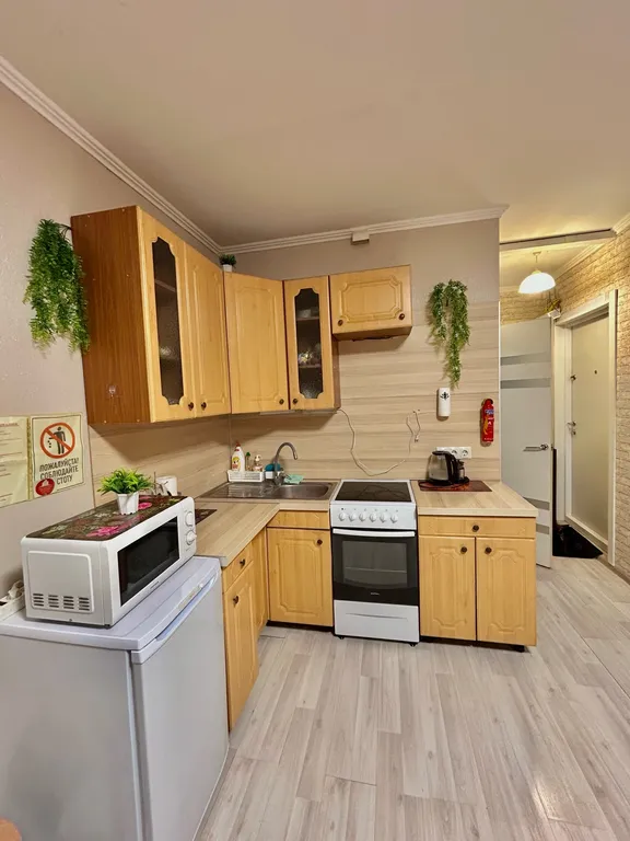 Уютная студия в Кучино