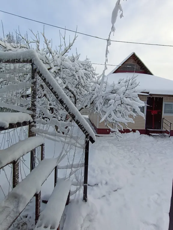 Коттедж Гостевой дом с русской баней и уличной купелью — Кириши