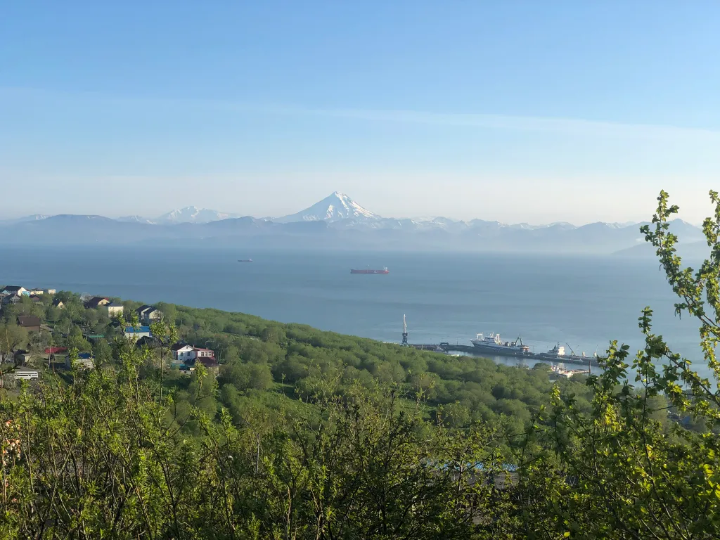 Апартамент с видом на бухту