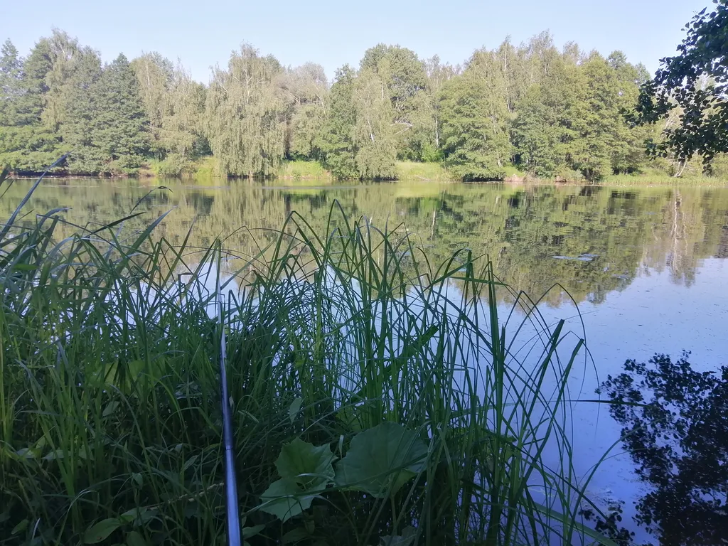 Дом с баней, бильярдом и бассейном