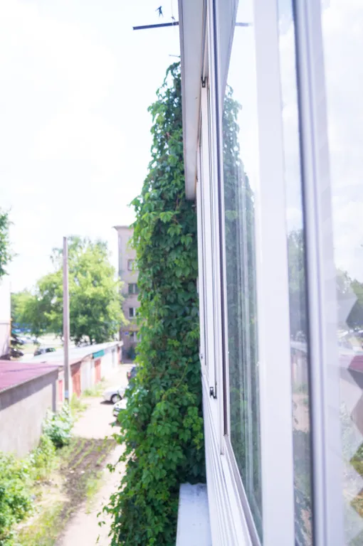 Уютная квартира рядом с парком