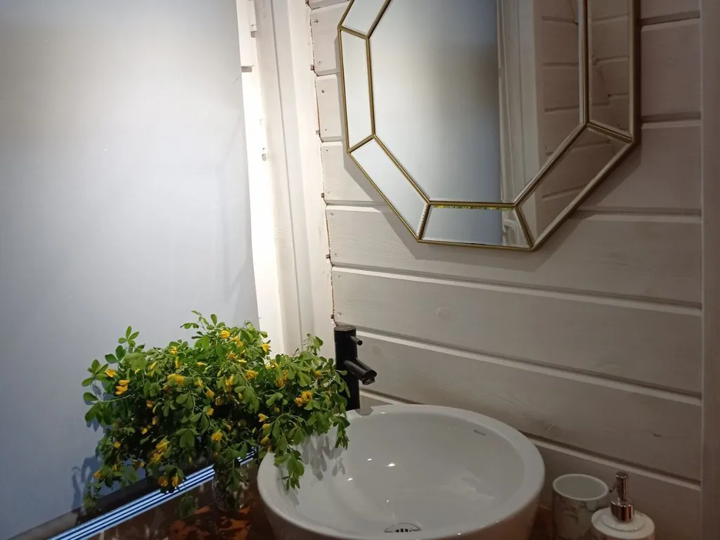 Дом с баней и чаном у леса