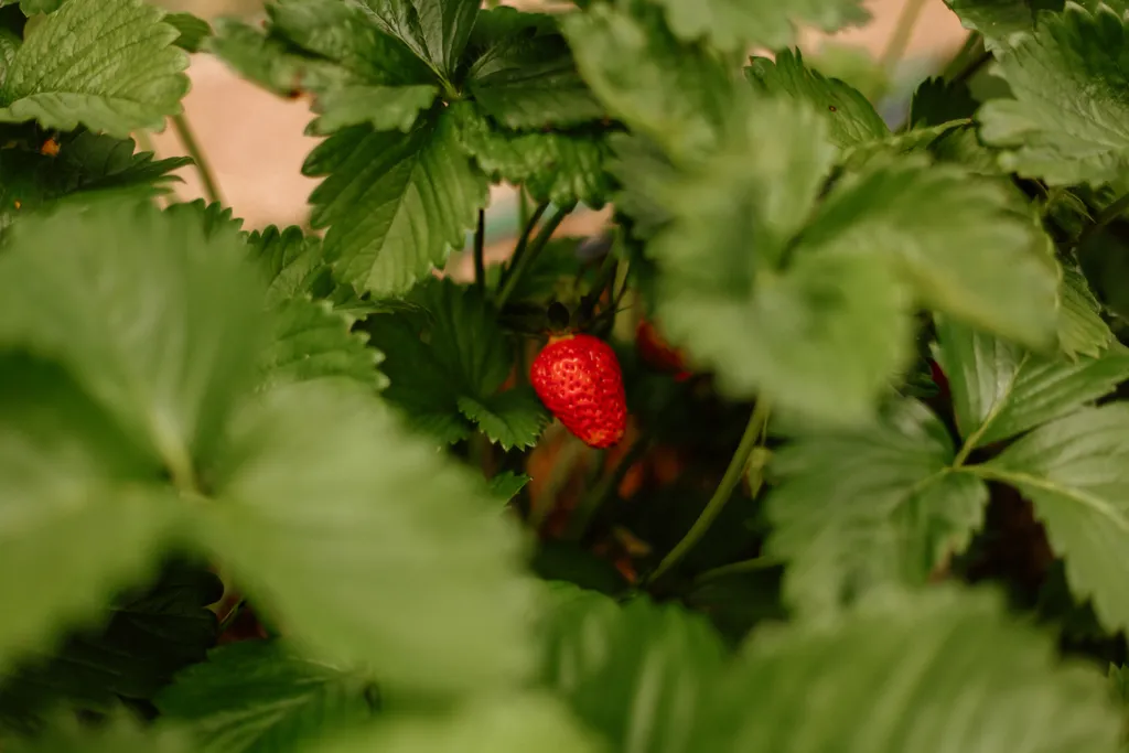 Милый домик у озера с баней