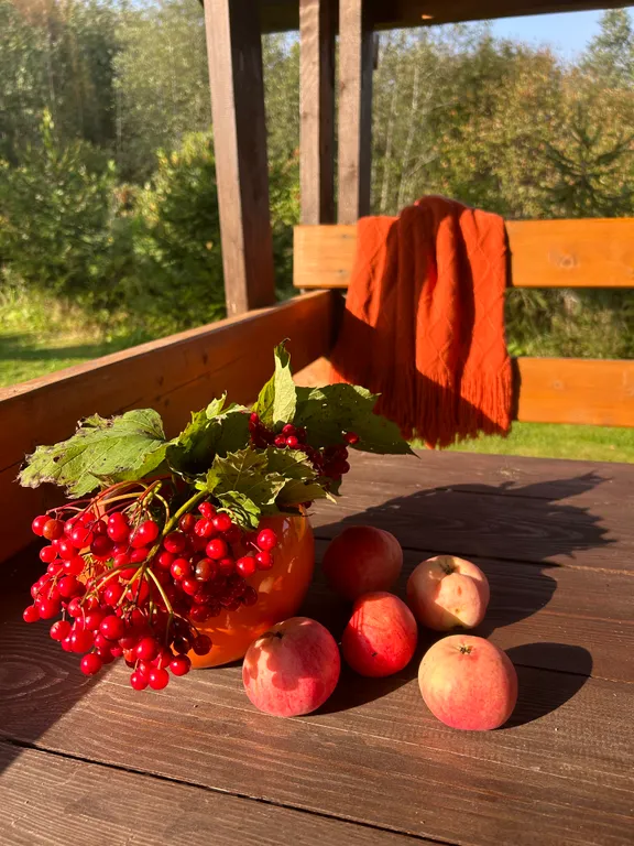 Коттедж на берегу реки