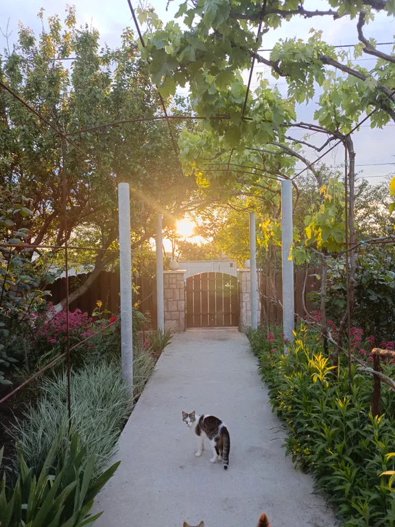 Стандарт двухместный с личной кухней