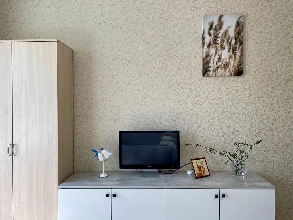 Уютная однокомнатная квартира в центре