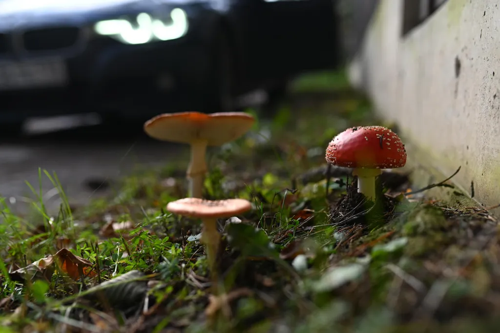 Коттедж Уютный дом — Коробицыно