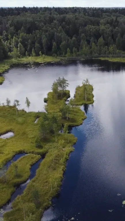 Новый стильный дом с зоной SPA, камином и красивым садом у леса