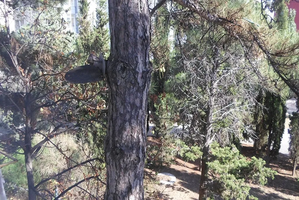 Квартира Уютная 2-комнатная квартира возле моря — Судак